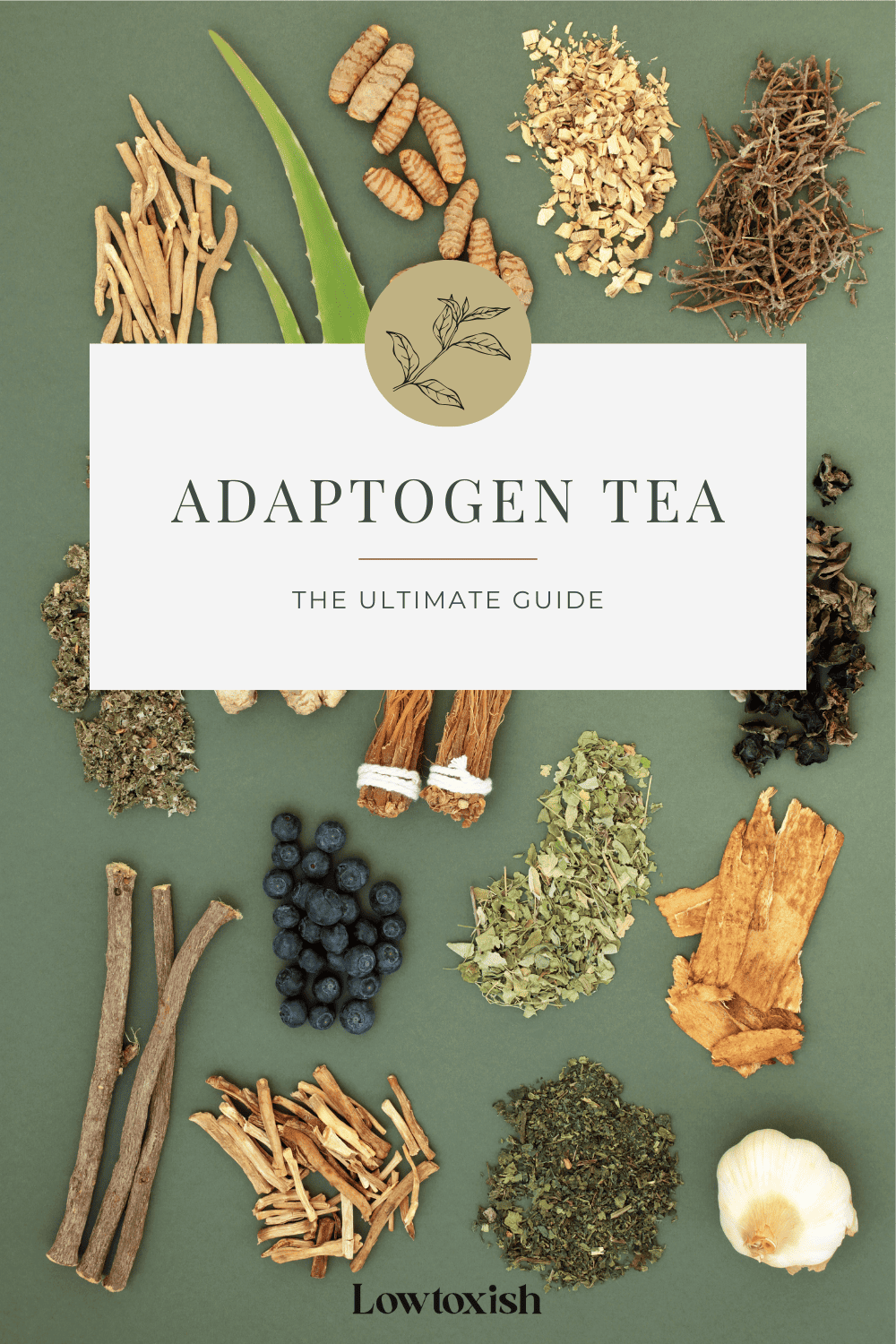 Brewing Wellness: The Ultimate Adaptogen Tea Guide